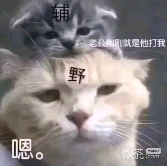微信近期斗图恶搞表情包2019/11/18