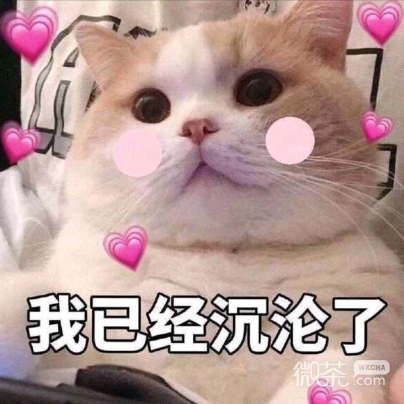 微信近期斗图恶搞表情包2019/11/18