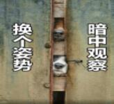 不要微信恶搞斗图表情包