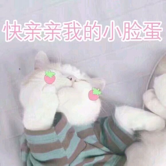 丢人微信恶搞斗图表情包