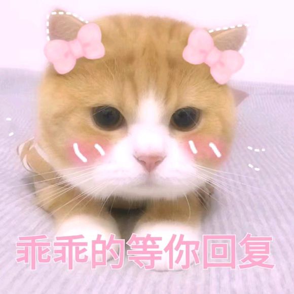 丢人微信恶搞斗图表情包