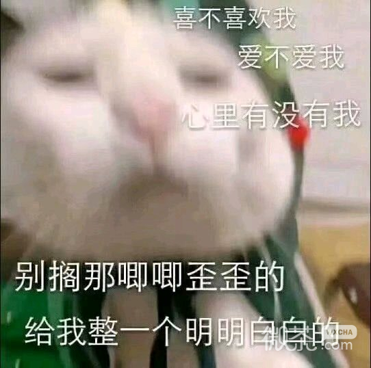 微信近期斗图恶搞表情包2019/11/18