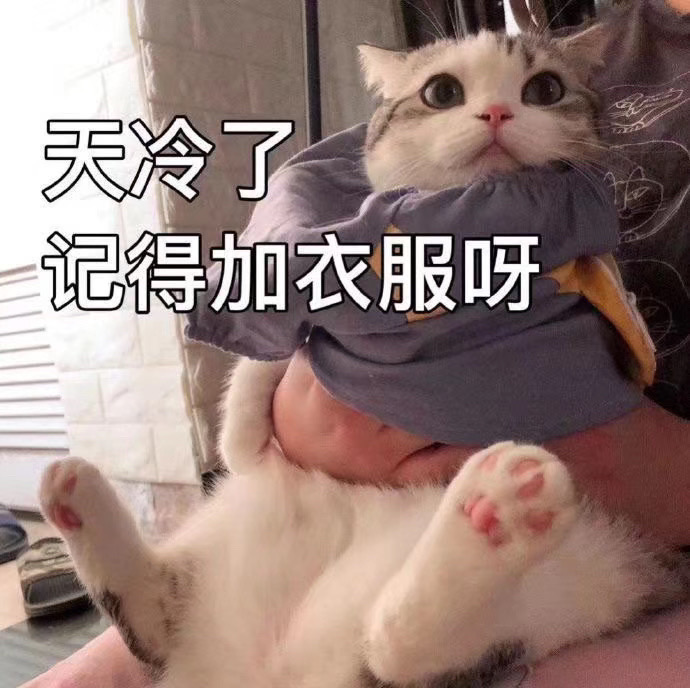 微信11月最新沙雕群聊恶搞表情包