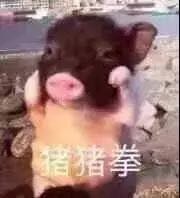 微信近期斗图恶搞表情包2019/11/19（二）