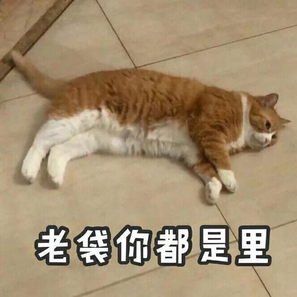 安详微信恶搞斗图表情包