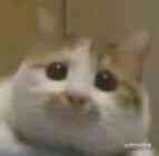 微信近期斗图恶搞表情包2019/11/19