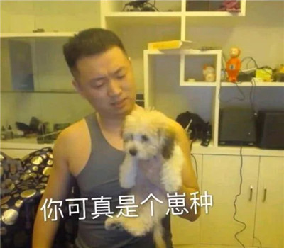 微信爆笑恶搞药水哥表情包合集