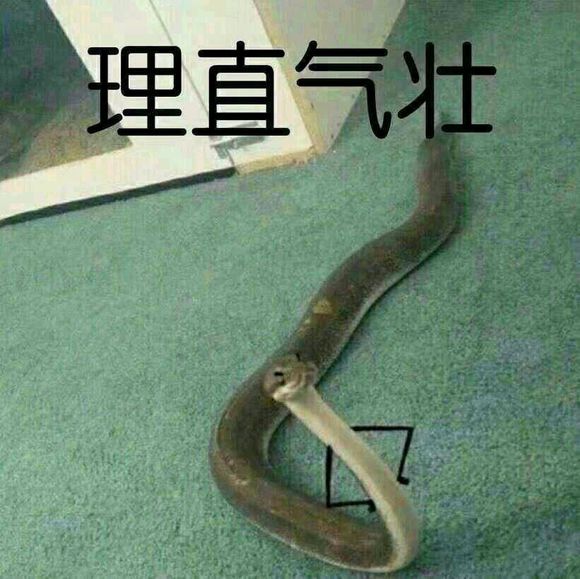 微信近期斗图恶搞表情包2019/11/19