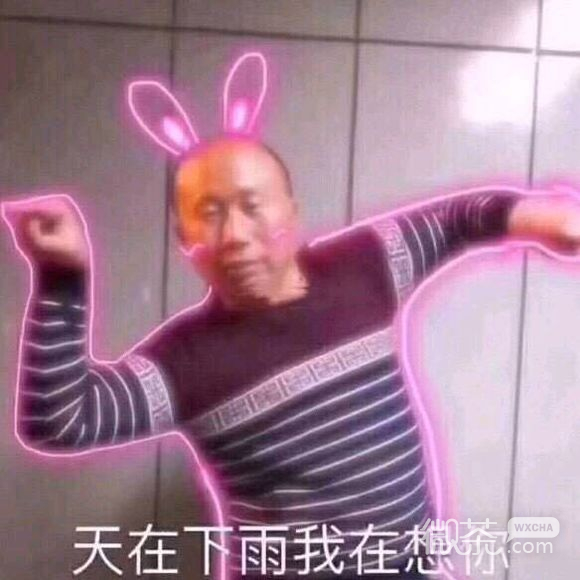 微信近期斗图恶搞表情包2019/11/19（二）