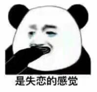 微信近期斗图恶搞表情包2019/11/19（二）
