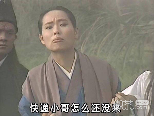 等快递专用的微信白娘子表情包合集