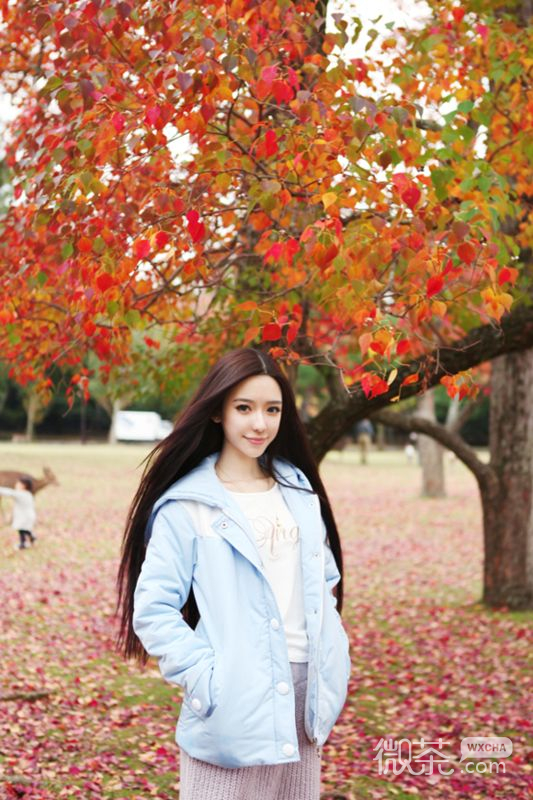 清纯好看的微信女生图片合集