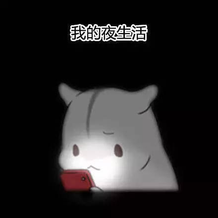 自我介绍专用的微信文字表情包合集