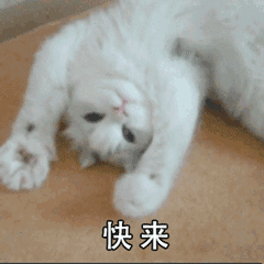 微信近期斗图恶搞表情包2019/11/20（二）