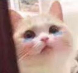 微信近期斗图恶搞表情包2019/11/20（二）