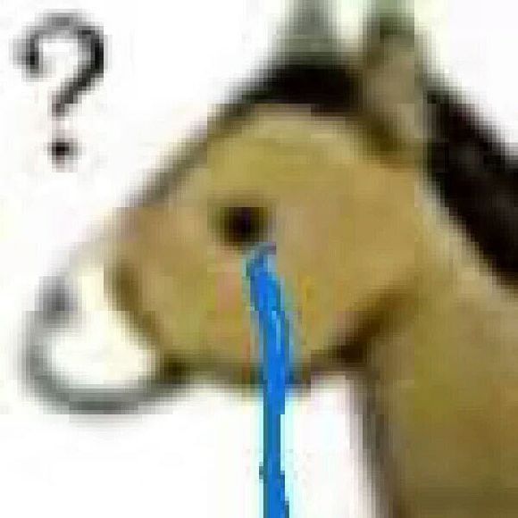 微信近期斗图恶搞表情包2019/11/20（二）