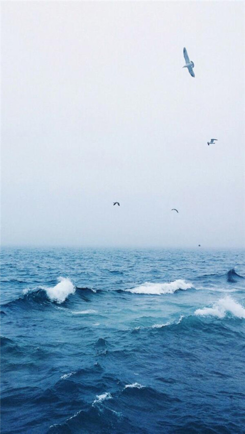 唯美意境的微信风景壁纸图片