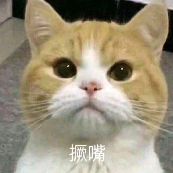 微信近期斗图恶搞表情包2019/11/20(二)