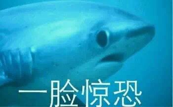 微信近期斗图恶搞表情包2019/11/20(二)