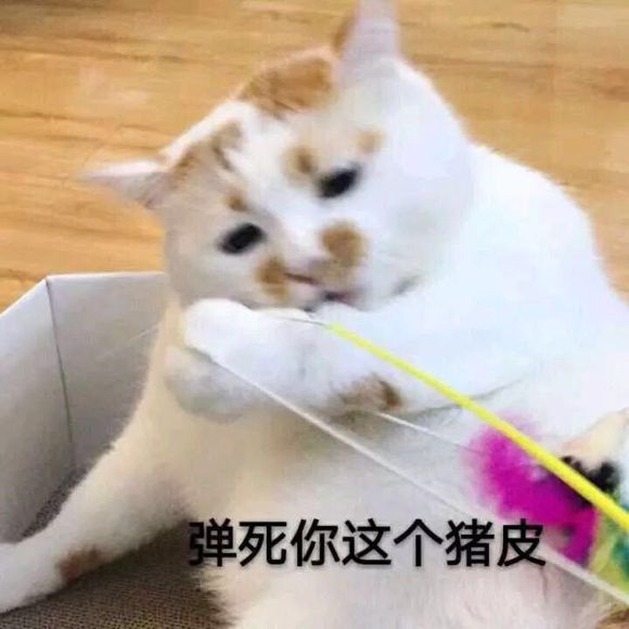 微信近期斗图恶搞表情包2019/11/20(二)