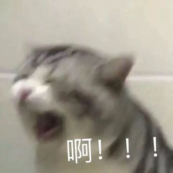 微信近期斗图恶搞表情包2019/11/20(二)