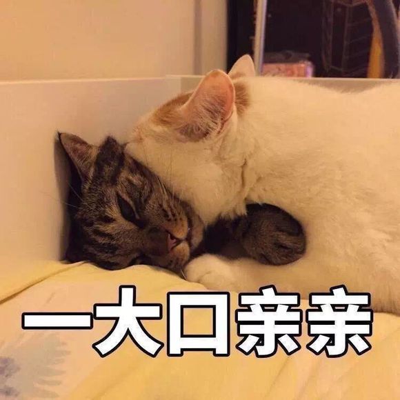 苦笑恶搞斗图表情包