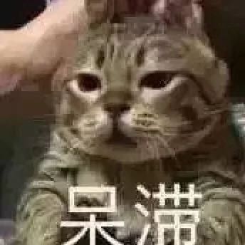 微信近期斗图恶搞表情包2019/11/20(二)