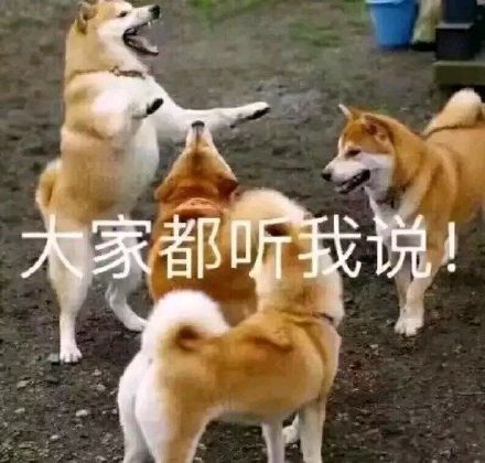 微信近期斗图恶搞表情包2019/11/20(二)