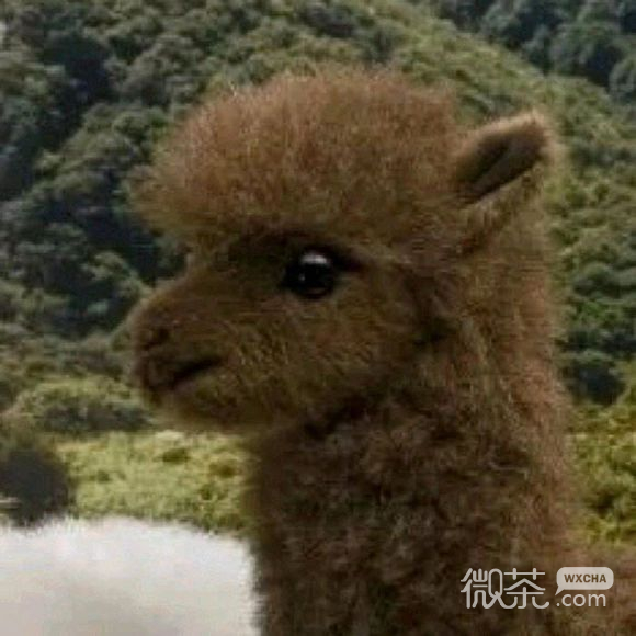 俏皮阳光时尚女生头像