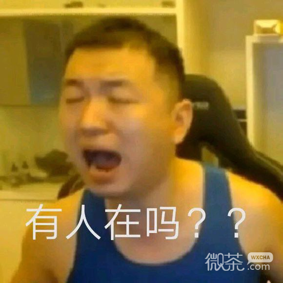 懂了微信斗图表情包
