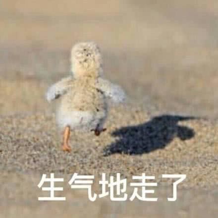 微信近期斗图恶搞表情包2019/11/21