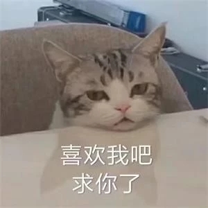 微信近期斗图恶搞表情包2019/11/21