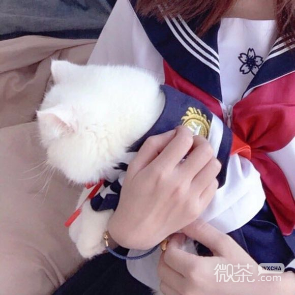 俏皮阳光时尚女生头像