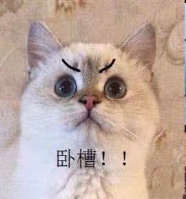 微信近期斗图恶搞表情包2019/11/21