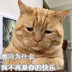 鄙视微信恶搞斗图表情包