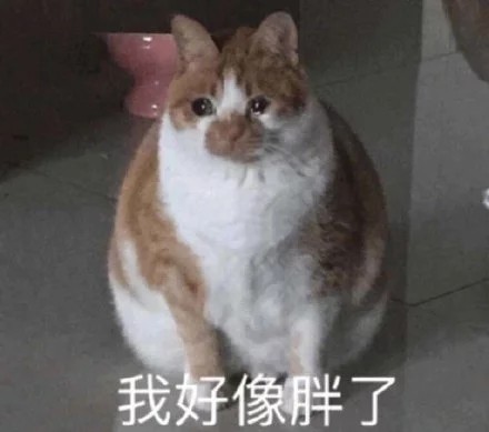 爷笑了微信恶搞斗图表情包