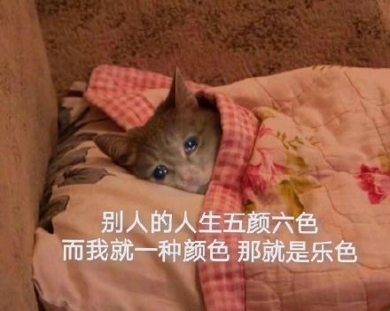 鄙视微信恶搞斗图表情包