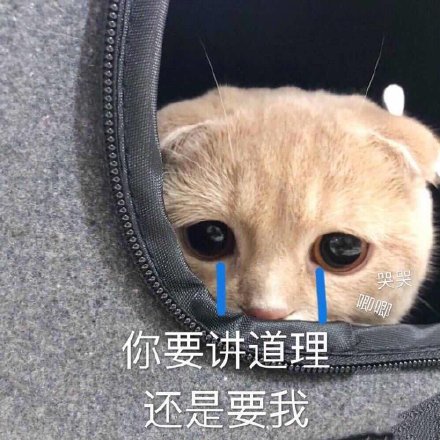 爷笑了微信恶搞斗图表情包