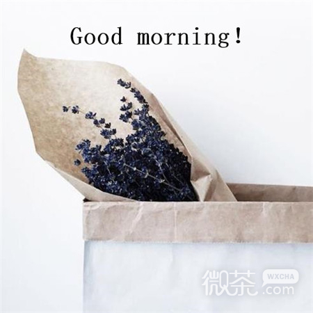 十二月早安系列微信唯美图片合集