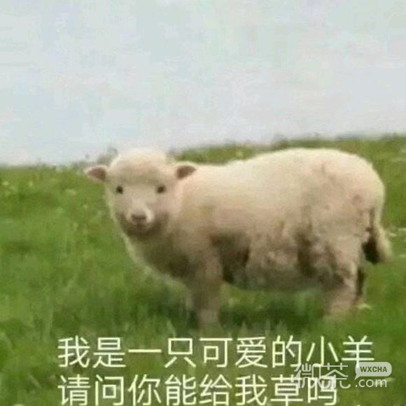 忍微信恶搞斗图表情包
