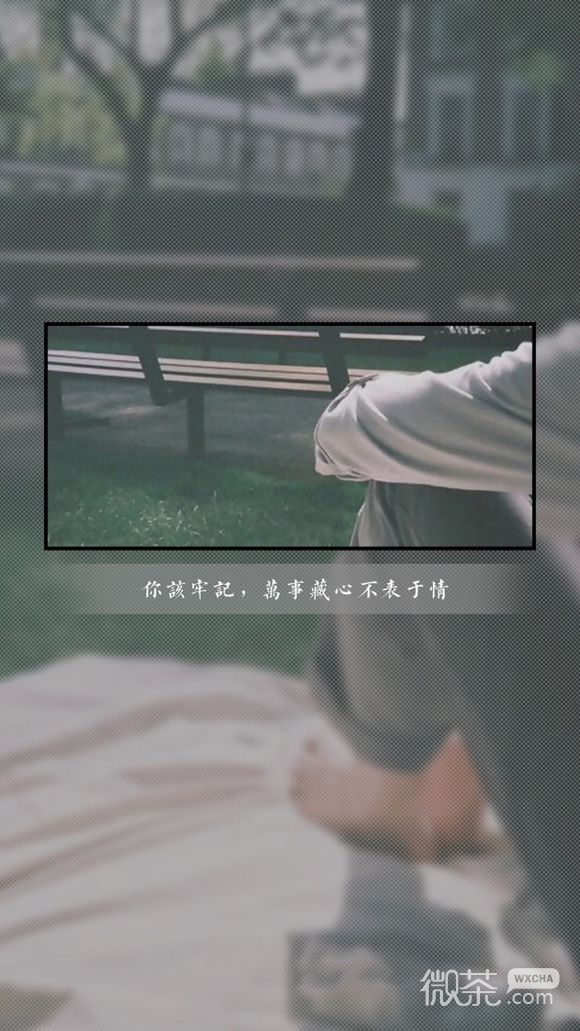 伤感爱情文字手机壁纸