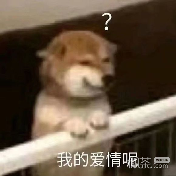 忍微信恶搞斗图表情包