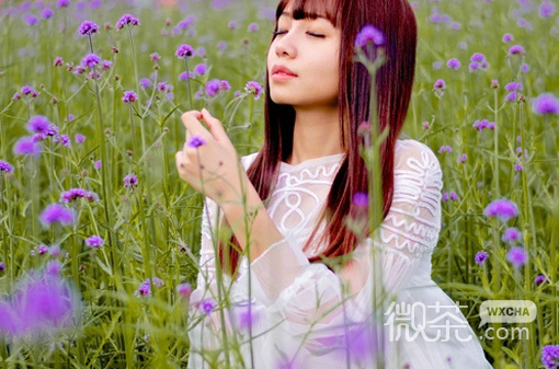 唯美小清新的微信夏日女生图片合集