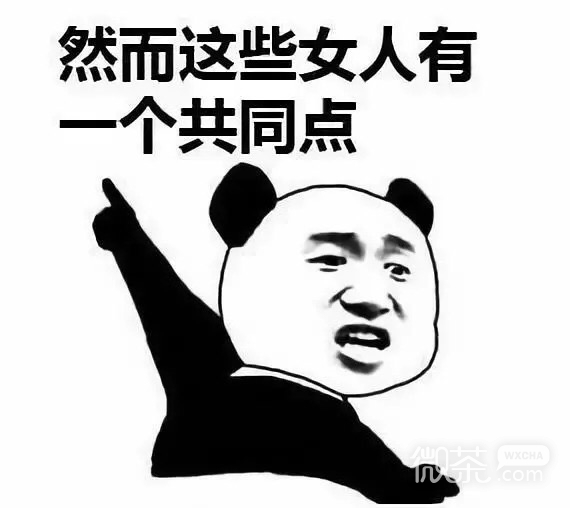 熊猫头我想静静微信恶搞带字表情包