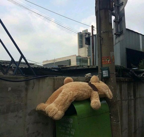 森系文艺朋友圈配图