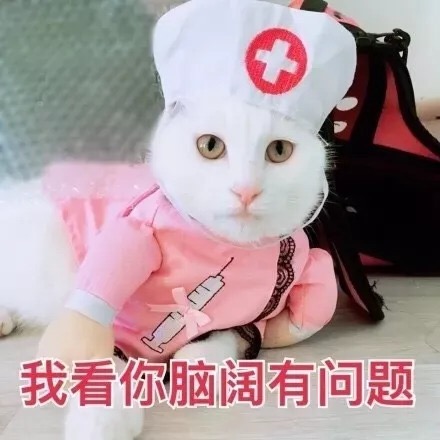 每日沙雕微信斗图表情包合集
