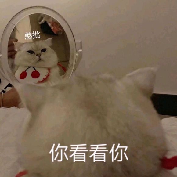 告辞恶搞斗图表情包