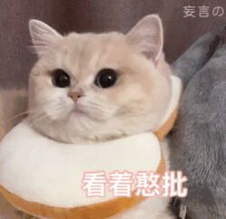 告辞恶搞斗图表情包