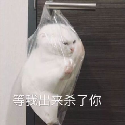 微信近期斗图恶搞表情包2019/11/26（二）