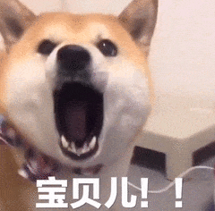 幼稚微信恶搞斗图表情包